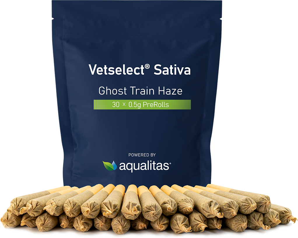 Vetselect Sativa Ghost Train Haze 30 x 05g