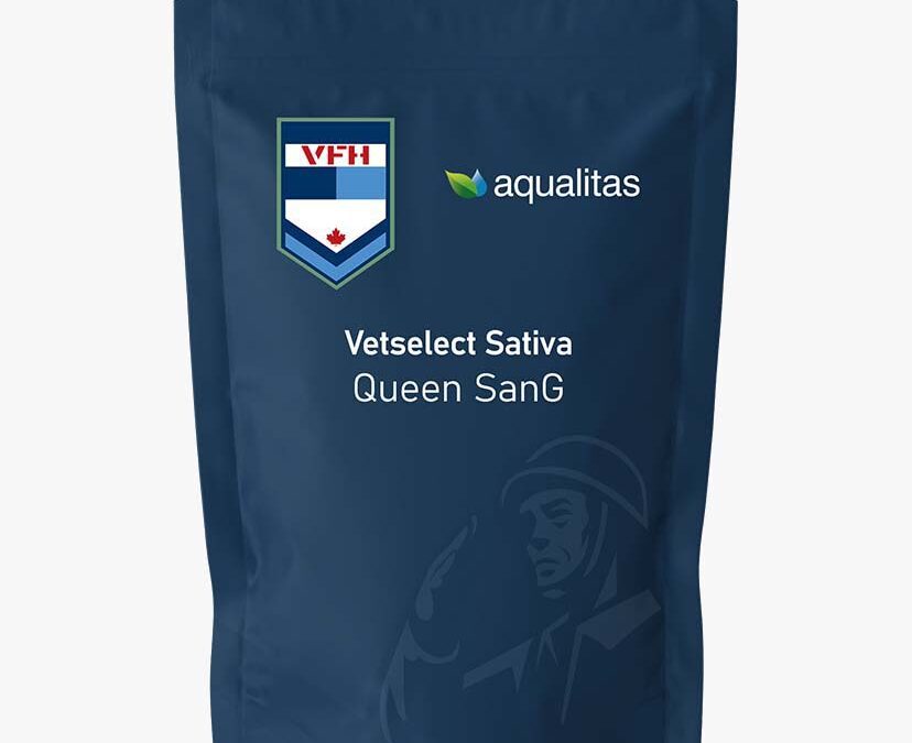 VetSelect Sativa (Queen SanG)